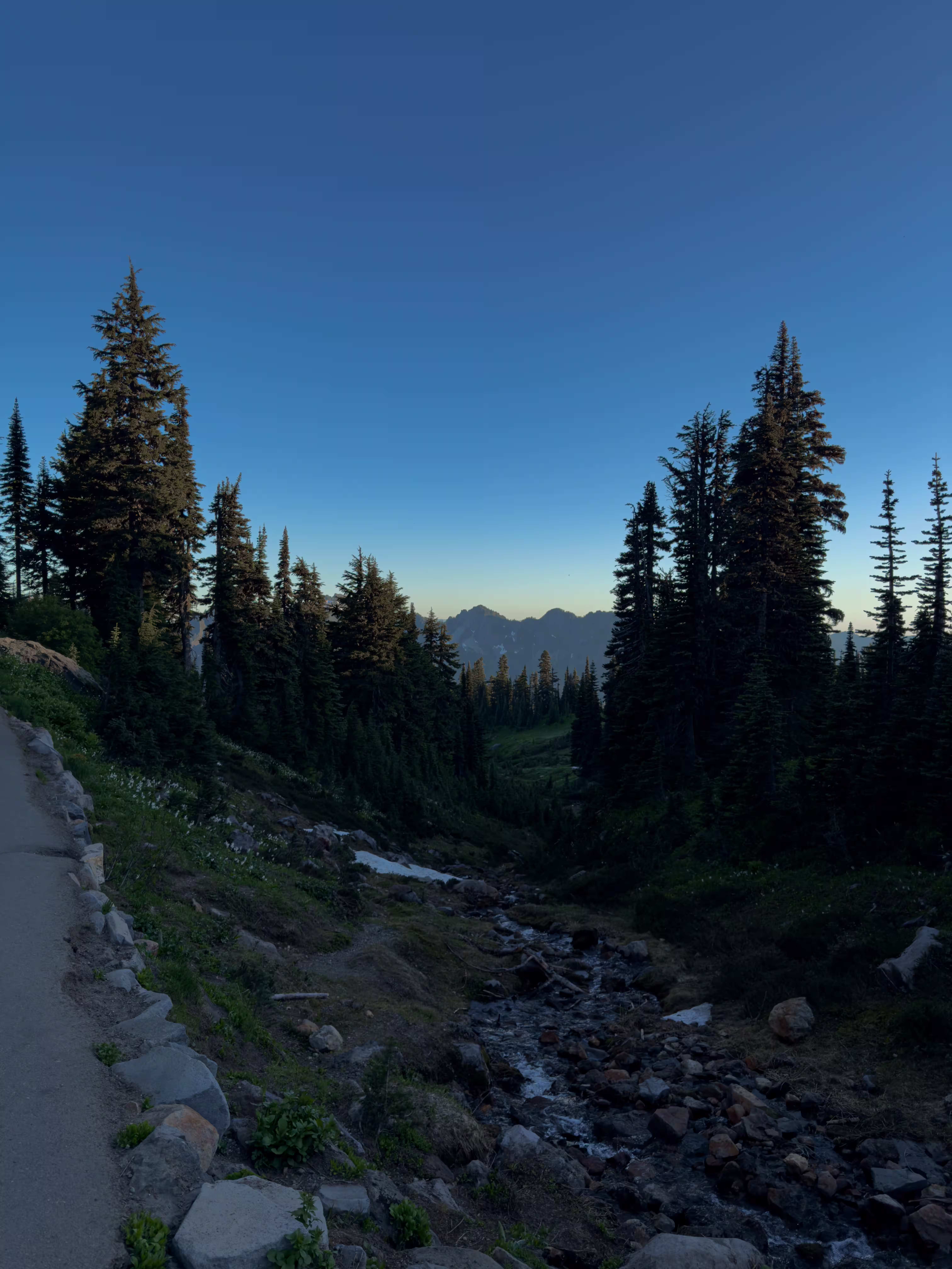 mt. rainier park, wa